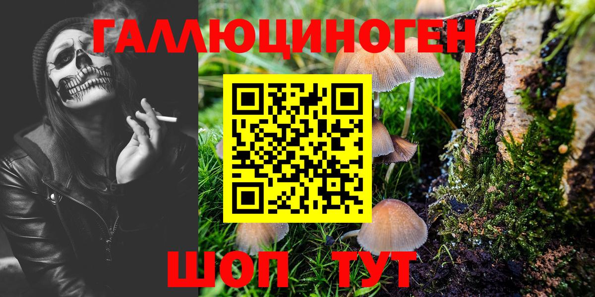 Галлюциногенные грибы Cubensis Тимашёвск