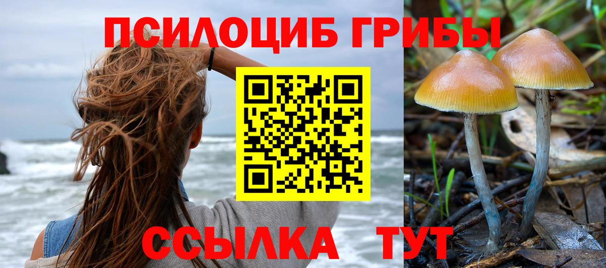 Тимашёвск  Галлюциногенные грибы мицелий  Вход с VPN 